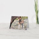 Search for maree cards Mother
