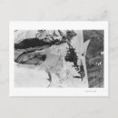 Search for rainier Glacier