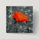 Search for grey background badges Colour
