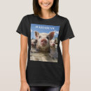 Search for swimming pig Bahamas swimming pigs