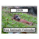 Search for zoo animal calendars Tiger
