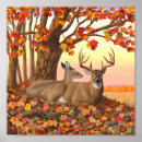 Search for deer hunting posters White tailed deer