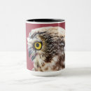 Search for saw whet mugs Owl