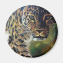 Search for leopard walks Cat