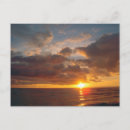 Search for maui postcards Nature