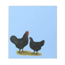 Search for chicken notepads Poultry