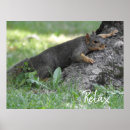 Search for relaxed posters Nature