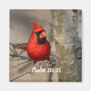 Search for 116 Psalm 116