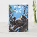 Search for koala picture cards Cute