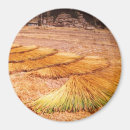 Search for straw magnets Grass