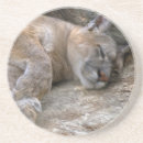 Search for asleep barware Sleeping