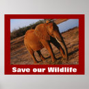 Search for red save posters Nature