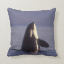 Search for orca cushions Wildlife