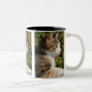 Search for tortoiseshell cat mugs Cute