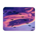 Search for sandhill magnets Flight