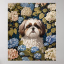 Search for shih tzu puppy posters Dog