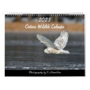 Search for raccoon calendars Birds