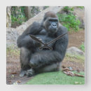 Search for primates art Animals