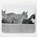 Search for concentration mousepads Focus