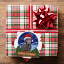 Search for chocolate labrador christmas cards Dog