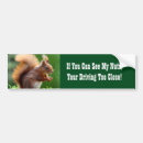 Search for nuts bumper stickers Squirrel