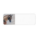 Search for arabian horse return address labels Equestrian