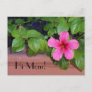 Search for hi mom postcards Mum