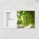 Search for grape vine business cards Green