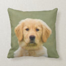 Search for golden retriever cushions Animals