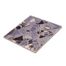 Search for mosaics photography Purple