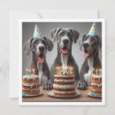Search for great dane invitations Dog