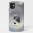 Search for harps iphone cases Snow