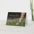Search for smells cards Cute