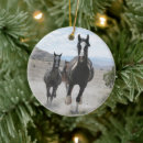 Search for wild christmas tree decorations Photograph