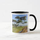 Search for acacia mugs Kenya