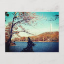 Search for jersey cards Fall