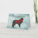 Search for newfoundland dog cards Canine