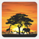 Search for african sunset stickers Landscape