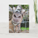 Search for funny nose cards Animal