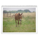 Search for calanders Animals
