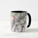 Search for belly mugs Wildlife