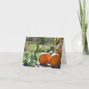 Search for thanksgiving note cards Autumn