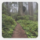 Search for redwoods national park stickers Usa