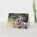 Search for funny german shepherd cards Dog