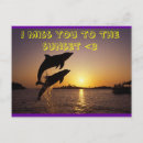 Search for leaping dolphins postcards Aquatic