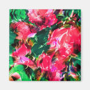 Search for rose bloom magnets Botanical