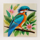 Search for kingfisher puzzles Nature