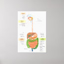 Search for system canvas prints Diagram