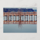 Search for abstract tree postcards Washington state