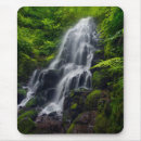 Search for danita delimont mousepads Fern